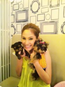 จำหน่าย และ เพาะพันธุ์ สุนัข พันธุ์ Yorkshire Terrier ไซร์เล็ก