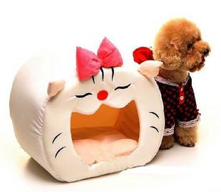 ที่นอนน้องหมาน่ารัก  รุปแมวสุดน่ารัก