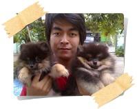 ฟาร์มสุนัขสุขใจเฮ้าส์ รับผสม รับฝาก ให้คำปรึกษา มีลูกสุนัขขาย ..