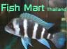 ฟิช มาร์ท (Fish Mart)