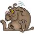 ตับอ่อนอักเสบ Pancreatitis